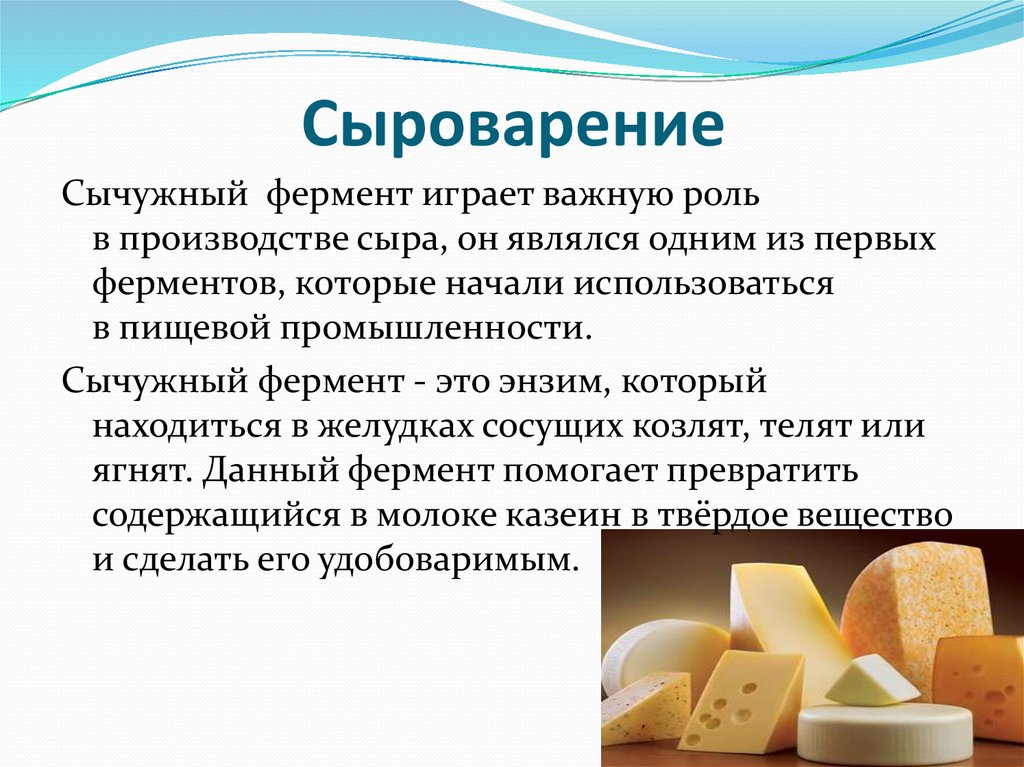 Сыр растительного происхождения. Ферменты для сыроделия. Ферменты в производстве сыра. Сычужный фермент для сыра на производстве. Используют в производстве сыров.