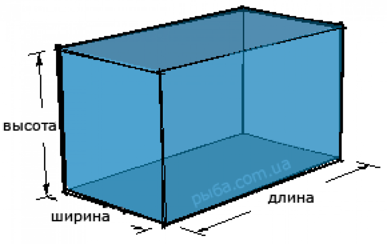 Длина ширина и высота аквариума. Длина ширина высота. Аквариум длина ширина высота. Ширина глубина и высота аквариума. Прямоугольный куб с размерами.