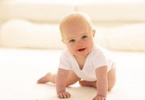 Child at 8 months: mode of the day. Eating a child at 8 months