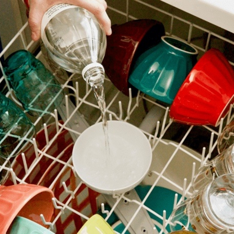 После мытья посуды в посудомоечной машине