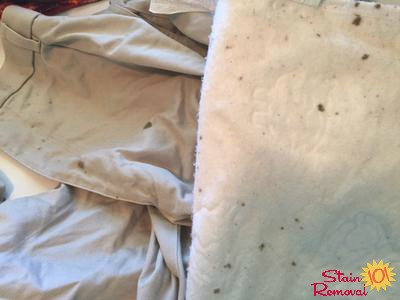 Brown spots on laundry after washing, caused by oil leaking from washing machine transmission {on Stain Removal 101} Brown spots on laundry after washing, caused by oil leaking from washing machine transmission {on Stain Removal 101}